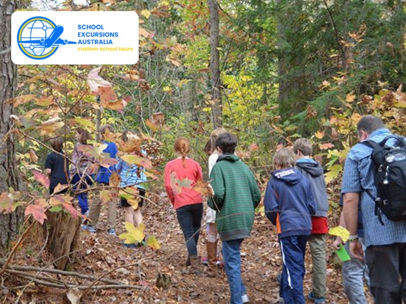 Documents and Communication Needed for a Safe Trip