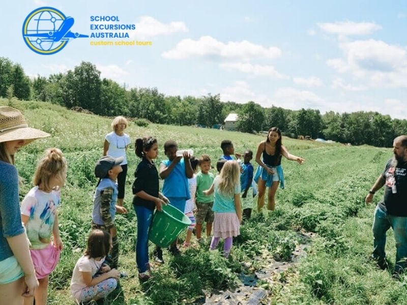 Benefits of Curriculum-Linked School Excursions Australia