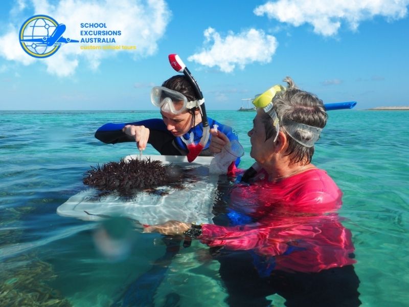 Sea Life Sydney Aquarium marine education for students