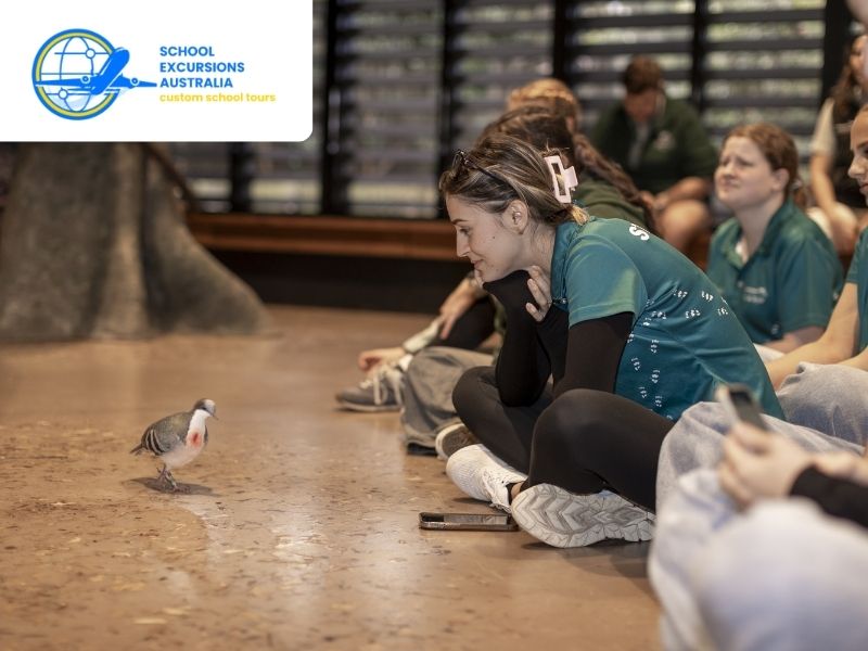 Taronga Zoo wildlife conservation education programs