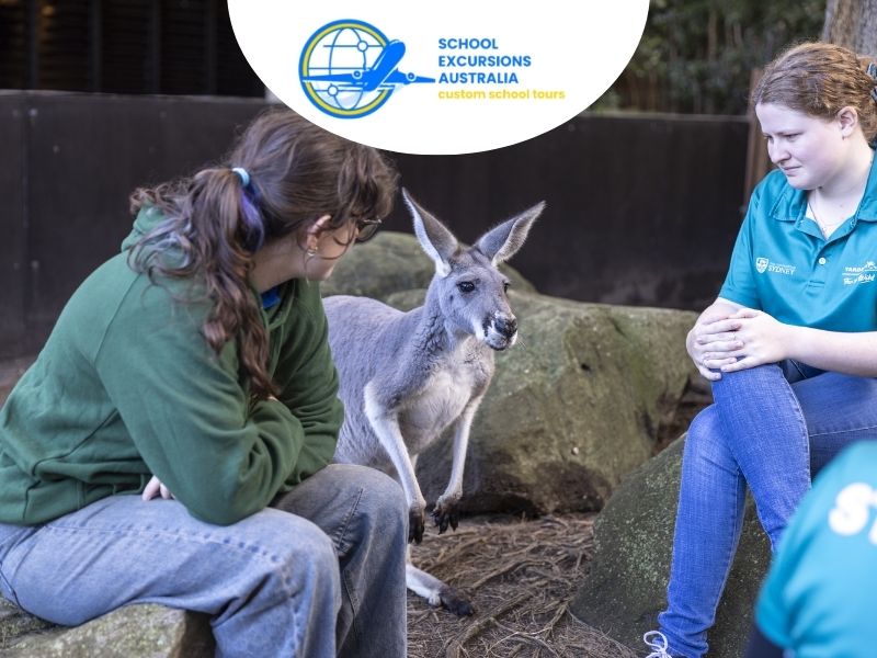 Sydney wildlife learning tours