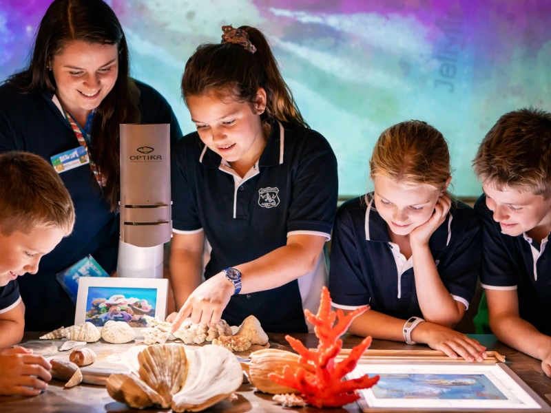 Port Macquarie student wildlife tours with students observing native animals in conservation park