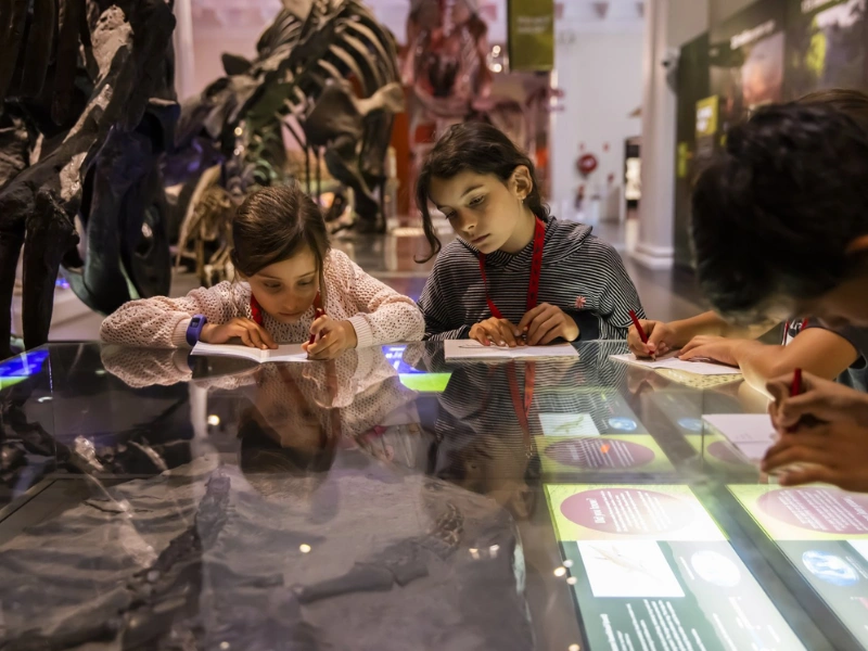 Hands-on engineering and science activities in Powerhouse Museum vs Maritime Museum school excursion programs