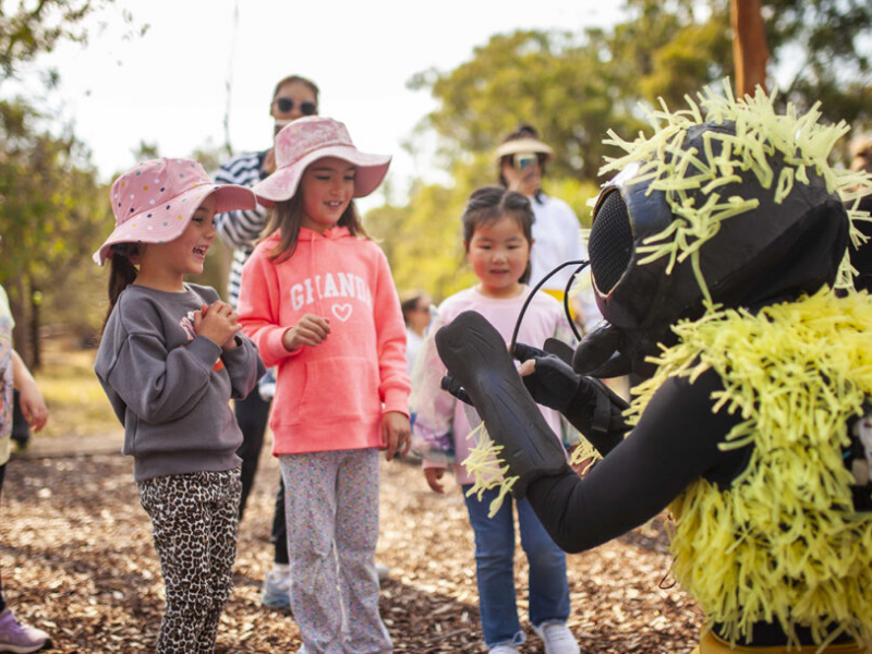 Students engaged in outdoor STEM and experiential outdoor learning activities Melbourne students program
