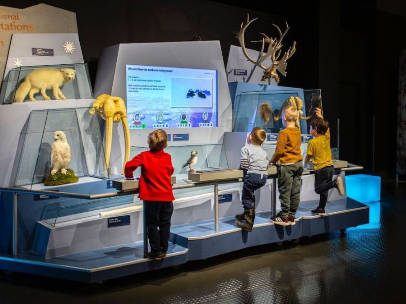 Students exploring biodiversity at Royal Botanic Gardens during outdoor learning activities Melbourne students program