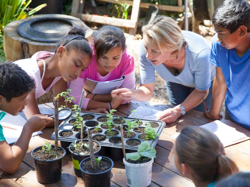 Educational Albany school tour with marine and cultural learning activities