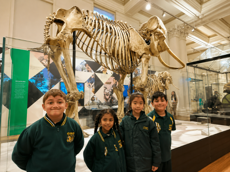Students exploring native wildlife during school excursions adelaide at Cleland Wildlife Park