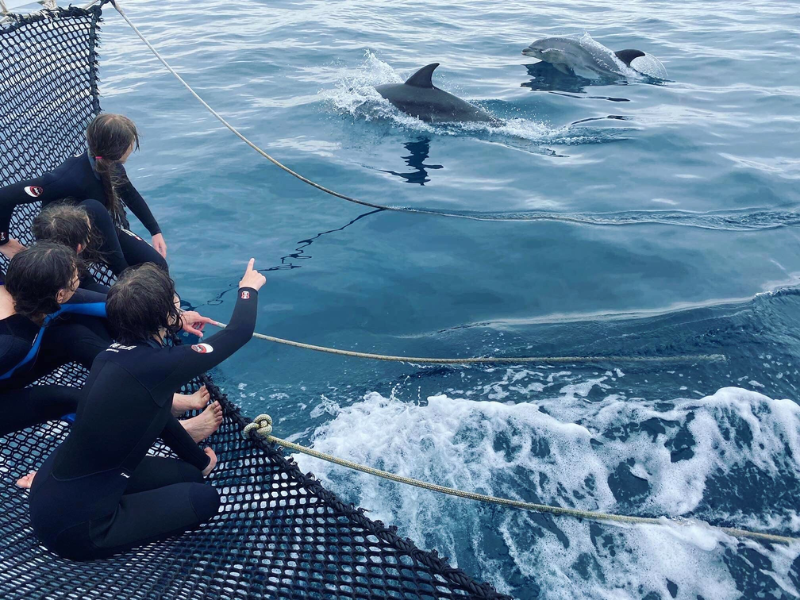 Teacher leading students through interactive marine science activities on Gold Coast school excursions