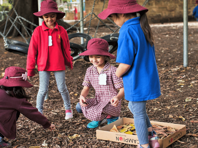 Foundation Year 1 School Excursion Ideas Australia