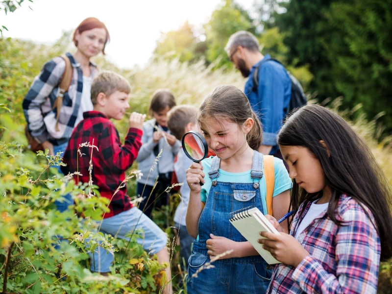 South Coast Outdoor Learning